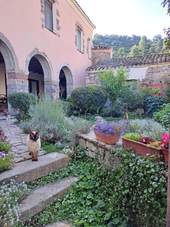 B&B S'Omu Antiga Nureci Exterior foto